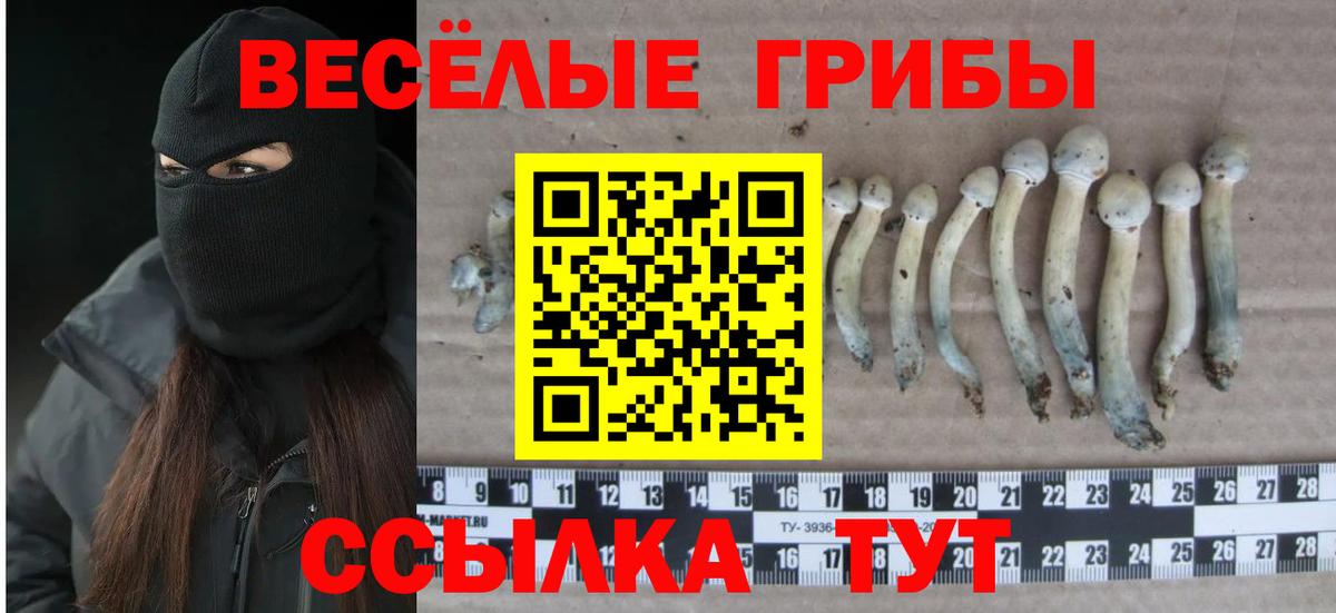 Галлюциногенные грибы мухоморы  Вход с VPN  Псилоцибиновые грибы мицелий  Аша 