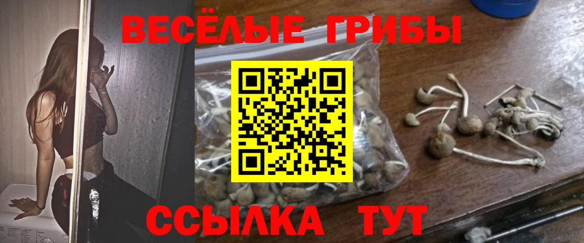 Галлюциногенные грибы мухоморы Аша